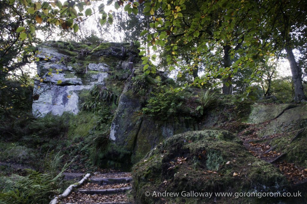 Holy Well, Alderley