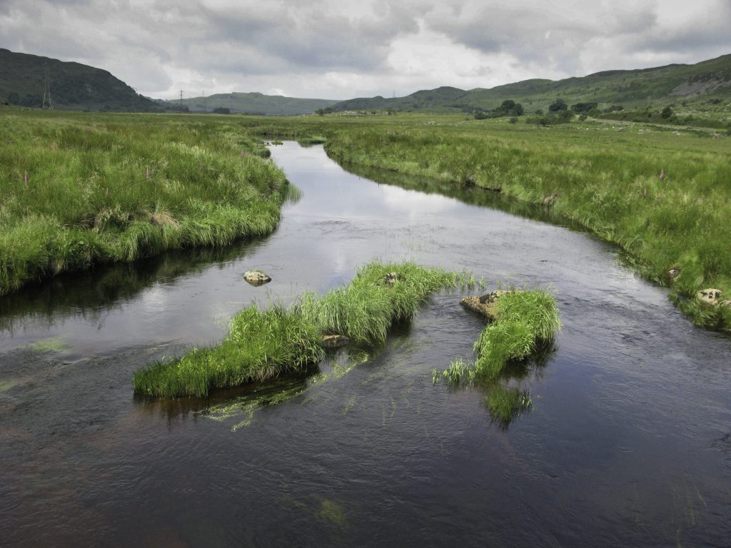 Afon Tryweryn