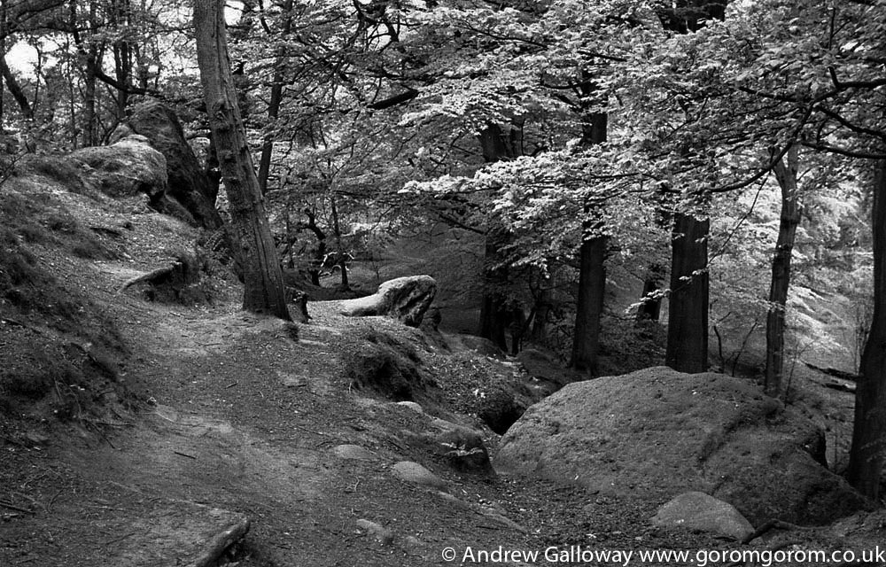 Saddlebole, Alderley Edge