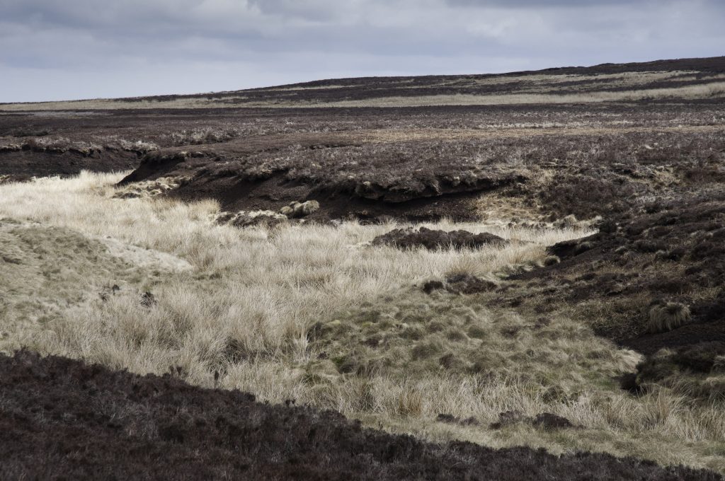 Crow Hill, possible location of the 1824 Stanbury Bog Burst