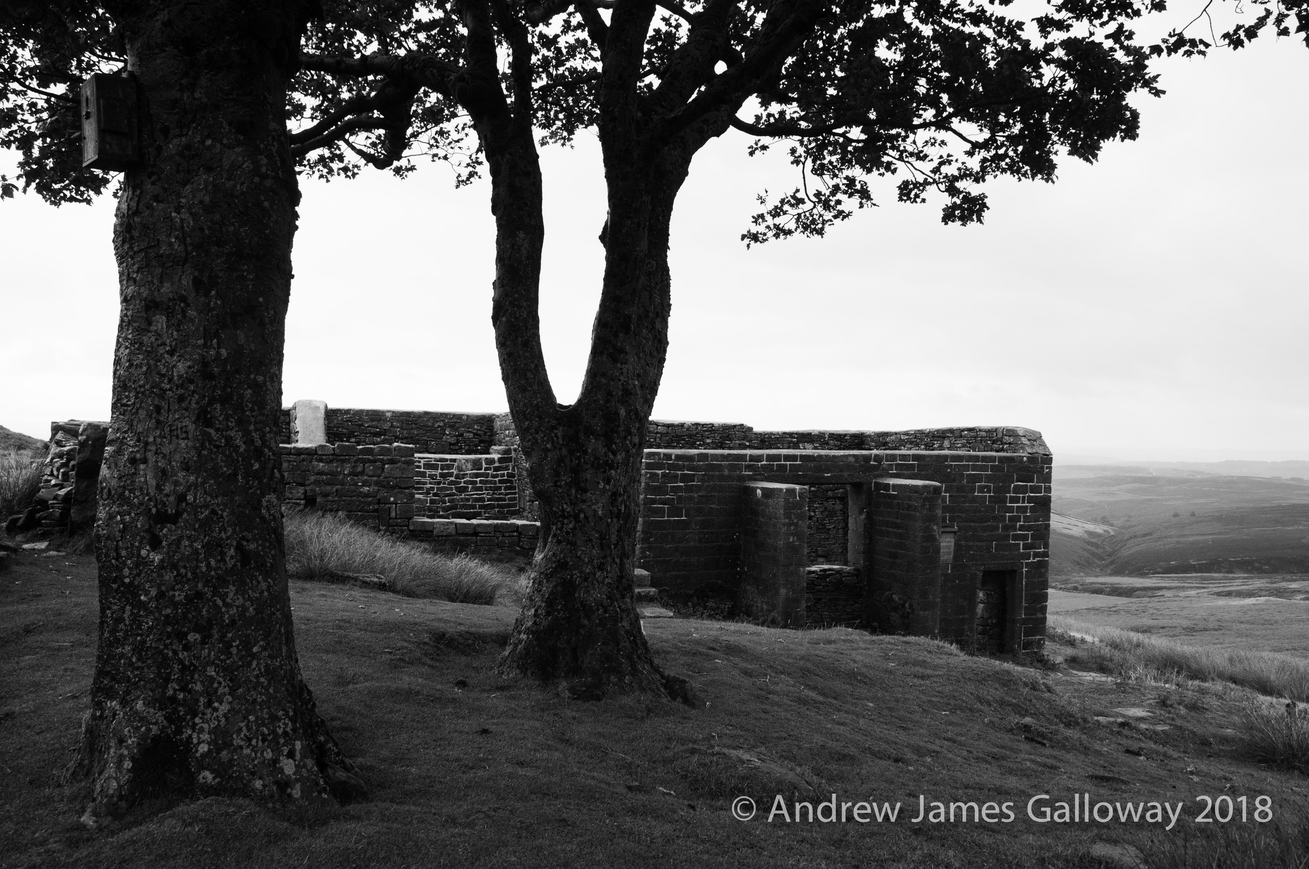 Ruins of the Elizabethan farm of Top Withens, Haworth Moor