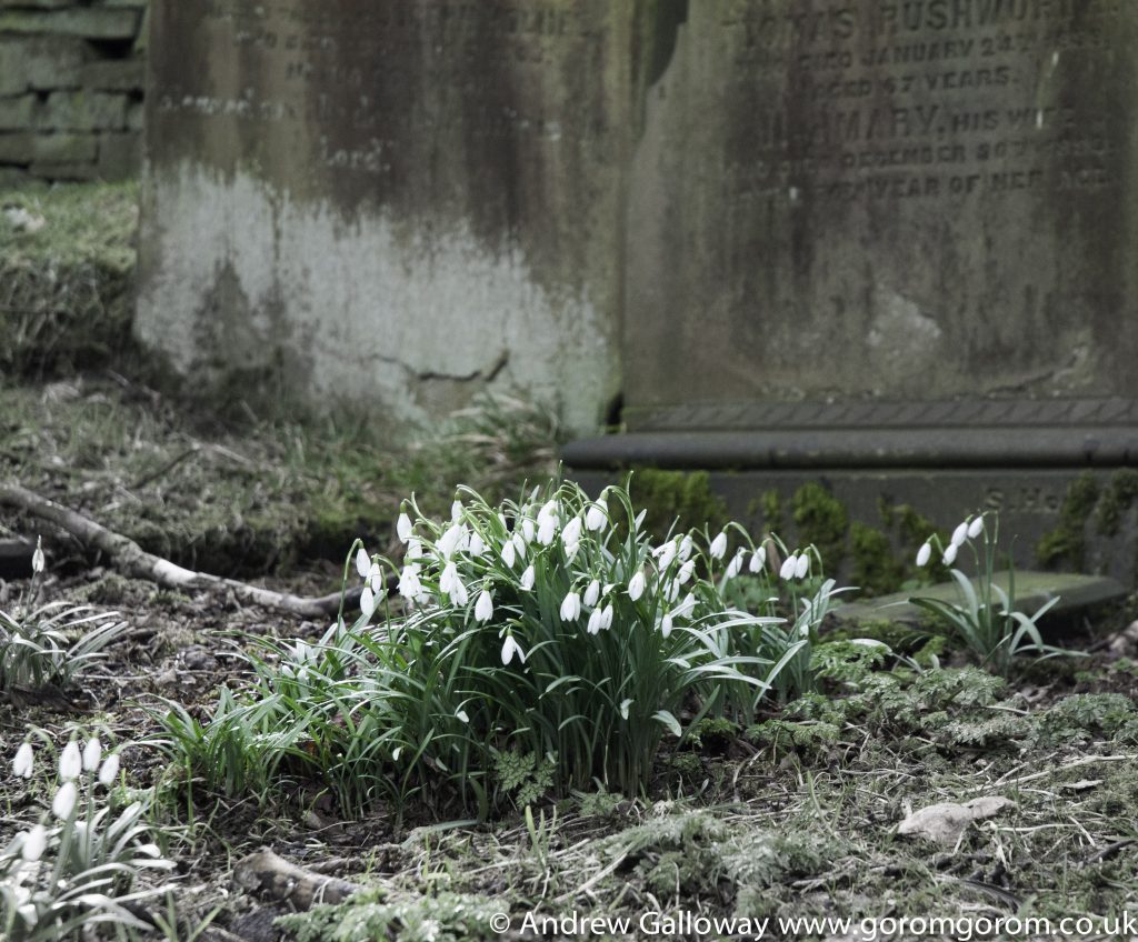 The churchyard of St Michael & All Angels, Haworth