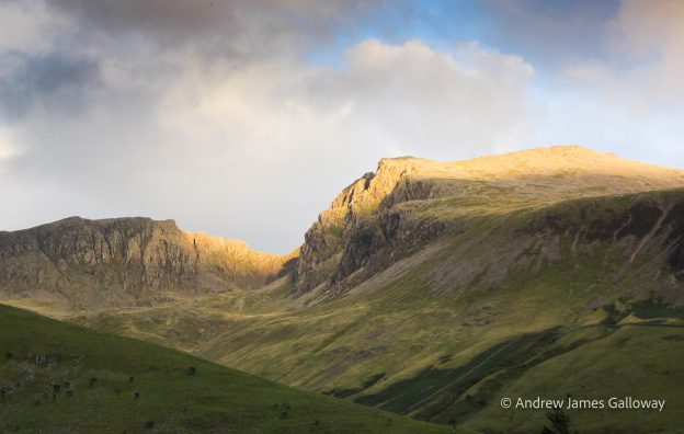 Auden: The Legend Weavers of the Forest Mountains 